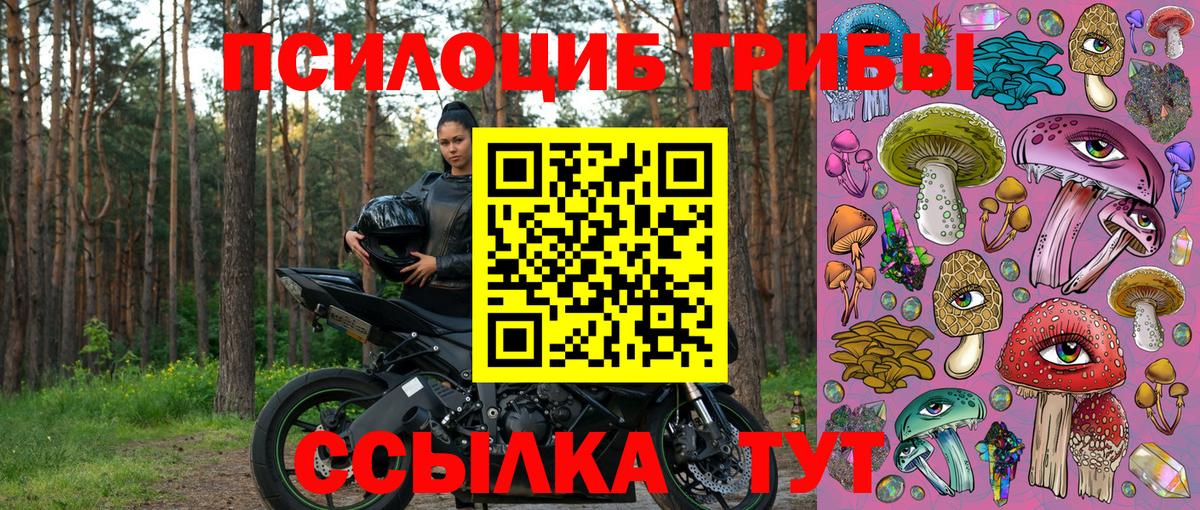 Татарск  Псилоцибиновые грибы GOLDEN TEACHER  Вход с VPN 
